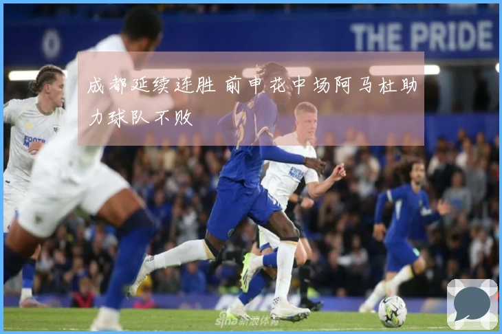 成都延续连胜 前申花中场阿马杜助力球队不败
